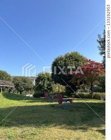 Blue sky and green trees in the park 133282953