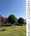在秋高氣爽的日子裡,公園的景色與秋葉的景象形成了鮮明的對比。 在秋高氣爽的日子裡,公園的景色與秋葉的景象形成了鮮明的對比。 133282954