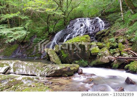 福島縣鮫川村內大小不一的瀑布統稱為翼龍太瀑布,是個壯觀的觀景點。這裡是素門瀑布。 福島縣鮫川村內大小不一的瀑布統稱為翼龍太瀑布,是個壯觀的觀景點。這裡是素門瀑布。 133282959