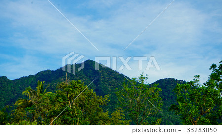 beautiful view of tropical rainforest shrouded in mist beautiful view of tropical rainforest shrouded in mist 133283050