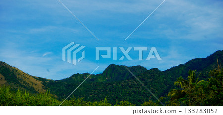 beautiful view of tropical rainforest shrouded in mist 133283052