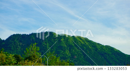beautiful view of tropical rainforest shrouded in mist beautiful view of tropical rainforest shrouded in mist 133283053