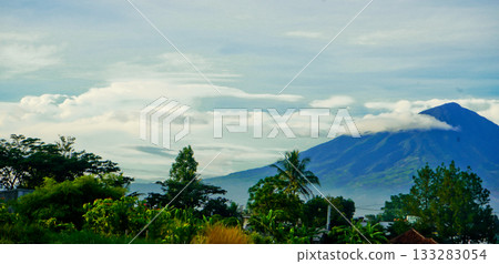 beautiful view of tropical rainforest shrouded in mist beautiful view of tropical rainforest shrouded in mist 133283054