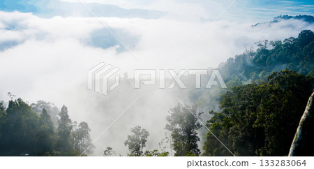 beautiful view of tropical rainforest shrouded in mist 133283064