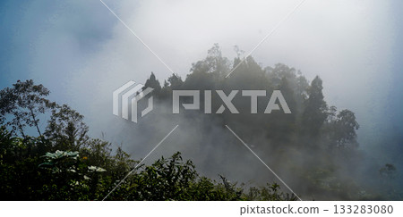 beautiful view of tropical rainforest shrouded in mist beautiful view of tropical rainforest shrouded in mist 133283080