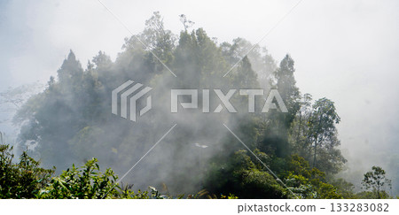beautiful view of tropical rainforest shrouded in mist beautiful view of tropical rainforest shrouded in mist 133283082