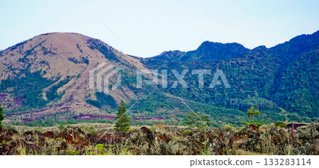 beautiful view of tropical rainforest shrouded in mist beautiful view of tropical rainforest shrouded in mist 133283114