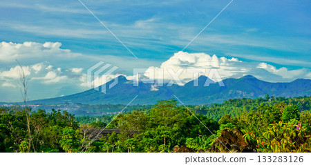 beautiful view of tropical rainforest shrouded in mist 133283126