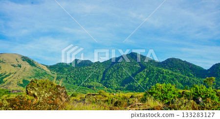 beautiful view of tropical rainforest shrouded in mist 133283127