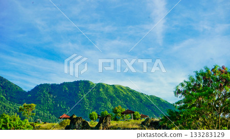 beautiful view of tropical rainforest shrouded in mist beautiful view of tropical rainforest shrouded in mist 133283129