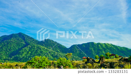 beautiful view of tropical rainforest shrouded in mist 133283131