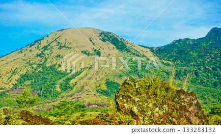 beautiful view of tropical rainforest shrouded in mist 133283132