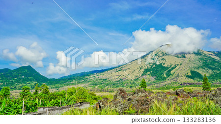 beautiful view of tropical rainforest shrouded in mist 133283136