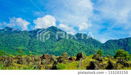 beautiful view of tropical rainforest shrouded in mist 133283150