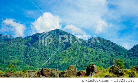 beautiful view of tropical rainforest shrouded in mist 133283153