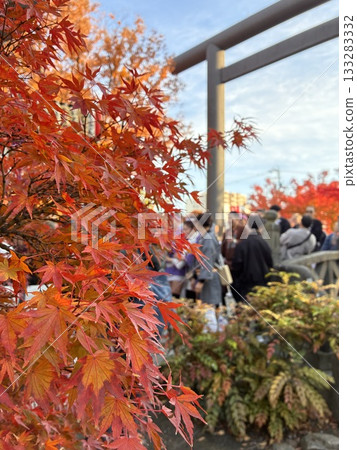 跟隨神轎的人群（神轎神社禦幸橋，長野縣松本市，11月） 133283332