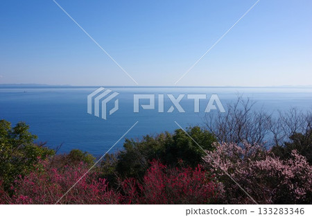 從兵庫縣洲本市岩石公園的觀景台上可以欣賞和歌山灣的景色，公園裡梅花盛開。 133283346