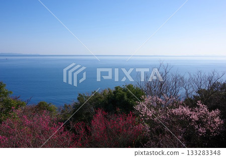 View of Wakayama Bay from the observation deck at Iwashi Park, where plum blossoms bloom, in Sumoto City, Hyogo Prefecture View of Wakayama Bay from the observation deck at Iwashi Park, where plum blossoms bloom, in Sumoto City, Hyogo Prefecture 133283348