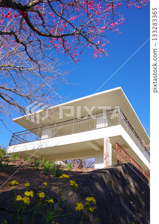 The observation deck at Iwashi Park during the plum blossom season in Sumoto City, Hyogo Prefecture The observation deck at Iwashi Park during the plum blossom season in Sumoto City, Hyogo Prefecture 133283365