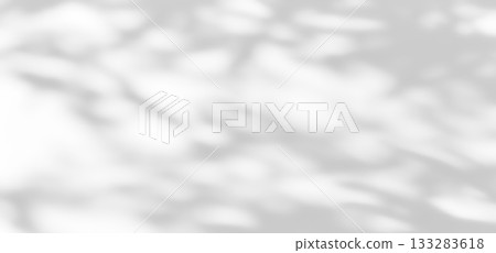 Shadow of leaves tree plant overlay on white wall. Shadow of leaves tree plant overlay on white wall. 133283618