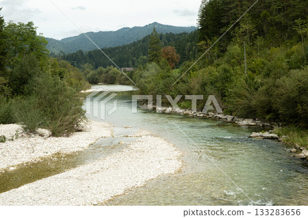 Beautiful Natural Background with Forest River in Summer Beautiful Natural Background with Forest River in Summer 133283656