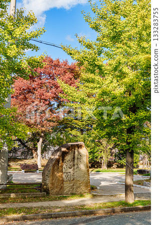 銀杏葉大阪城公園 133283755