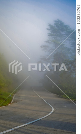 beautiful view of a road in a tropical forest covered in mist 133283762