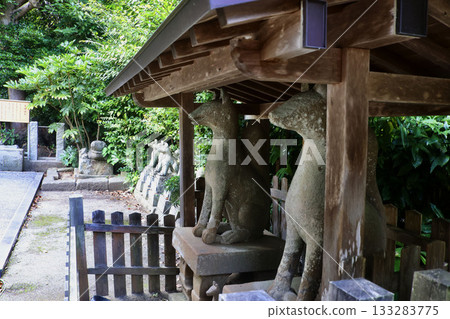 城山稻荷神社與石狐(島根縣松江市) 城山稻荷神社與石狐(島根縣松江市) 133283775