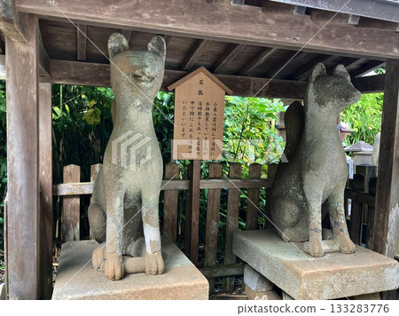 Shiroyama Inari Shrine and Stone Fox (Matsue City, Shimane Prefecture) 133283776