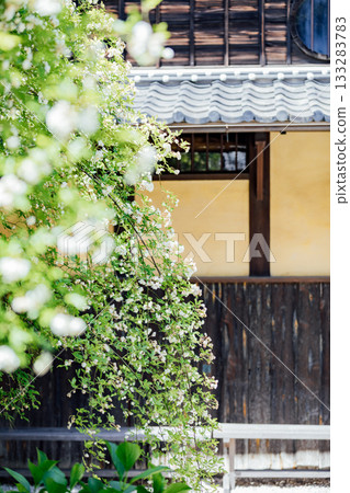 【半田市】小栗家宅邸(國家指定重要文化財產)的甜薔薇 【半田市】小栗家宅邸(國家指定重要文化財產)的甜薔薇 133283783