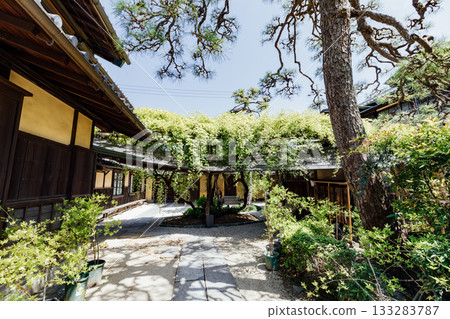 【半田市】小栗家宅邸(國家指定重要文化財產)的甜薔薇 【半田市】小栗家宅邸(國家指定重要文化財產)的甜薔薇 133283787