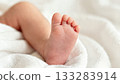 Baby Toes Close-up Macro Tiny Feet Detail 133283914
