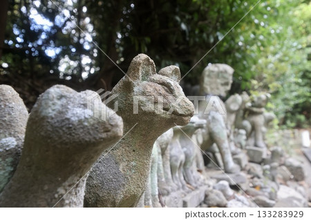 Shiroyama Inari Shrine and Stone Fox (Matsue City, Shimane Prefecture) 133283929