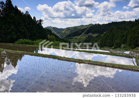【千枚田四谷】水稻田倒映著藍天 133283938