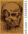 Intricate skeletal artwork featuring detailed human skull 133283951