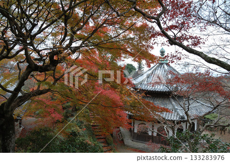 秋日京都 / 深秋京都之旅 - 清晨漫步於古老寺廟,從高處欣賞秋葉美景 秋日京都 / 深秋京都之旅 - 清晨漫步於古老寺廟,從高處欣賞秋葉美景 133283976