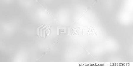 Shadow of leaves tree plant overlay on white wall.  133285075