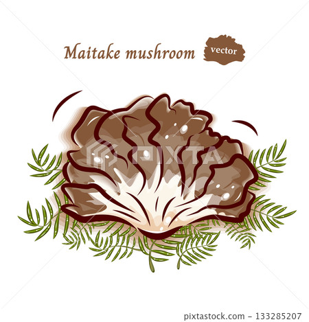 Maitake mushroom pop art material | Cute mushroom vector illustration Maitake mushroom pop art material | Cute mushroom vector illustration 133285207