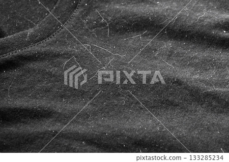 Pet hair on clothes. Cat hair on T shirt.  133285234