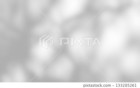 Shadow of leaves tree plant overlay on white wall. Shadow of leaves tree plant overlay on white wall. 133285261