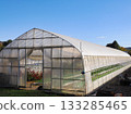 溫室裡的花卉種植景象 133285465