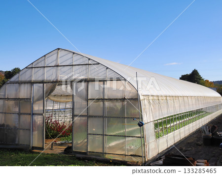 溫室裡的花卉種植景象 溫室裡的花卉種植景象 133285465