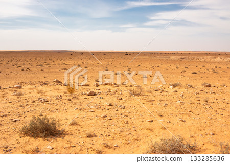 突尼斯，北非的沙漠景觀 133285636
