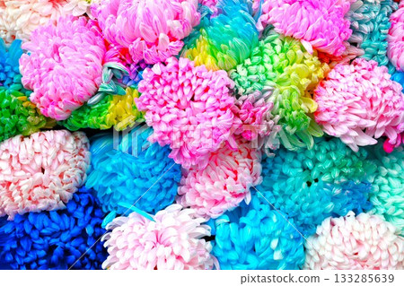 七彩菊花 133285639