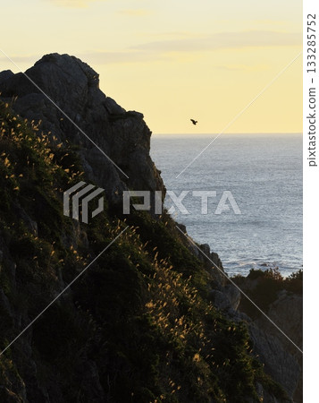 黎明時分,從伊良後防禦哨遺址眺望日之出石門(岸之石門)的懸崖峭壁 黎明時分,從伊良後防禦哨遺址眺望日之出石門(岸之石門)的懸崖峭壁 133285752