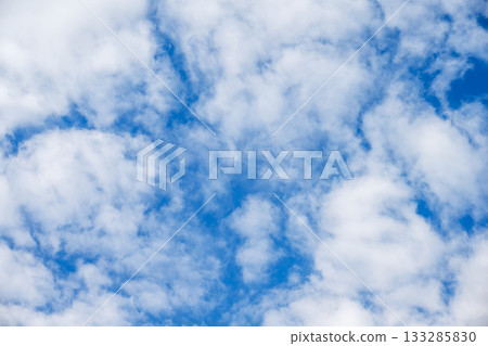 秋天的天空，蔚藍的天空，晴朗的天空，十一月 [神奈川縣厚木市] 133285830