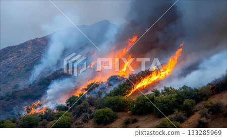 Intense wildfire devours forested hillside with thick smoke and fierce flames 133285969