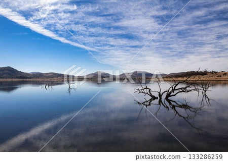 Dead branches are rising from calm lake in flat design reflecting wispy clouds, hills and shoreline 133286259