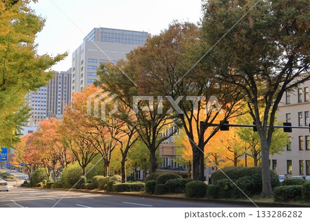 外交部的秋葉 133286282