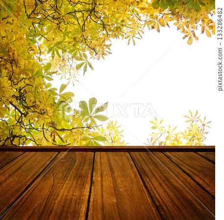 Wooden floor against leaves 133286482